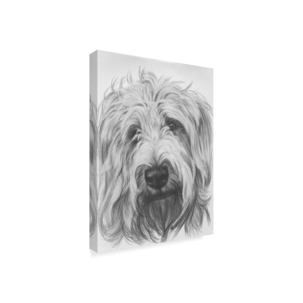 Barbara Keith 'Labradoodle' Canvas Art,24x32